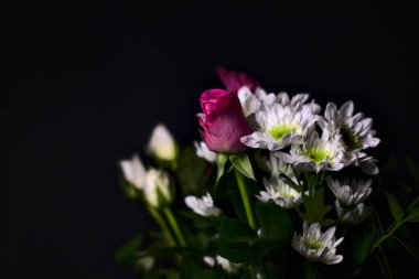Beyaz güller, kasımpatılar, mor gerberalar ve siyah arka planda güller.