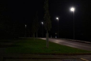 Gece göl kıyısında bir yol