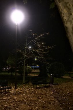 Sonbaharda bir parkta banklar