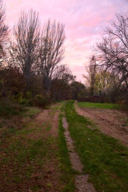 Gün batımında gölün kıyısındaki bir parkta yol