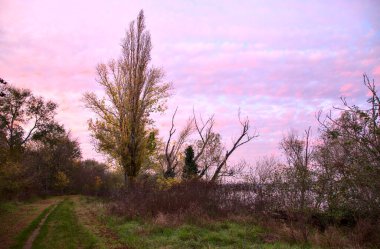 Gün batımında gölün kıyısındaki bir parkta yol