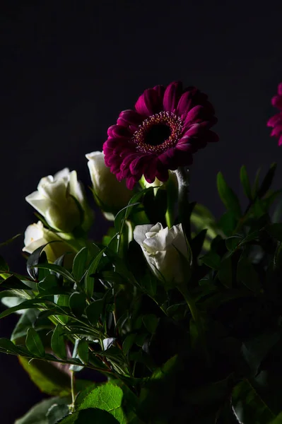 黑色背景上的白玫瑰 紫菊和玫瑰的芬芳 — 图库照片