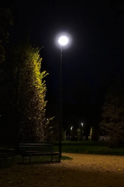 Πάγκοι Ένα Πάρκο Φθινόπωρο Νύχτα — Φωτογραφία Αρχείου