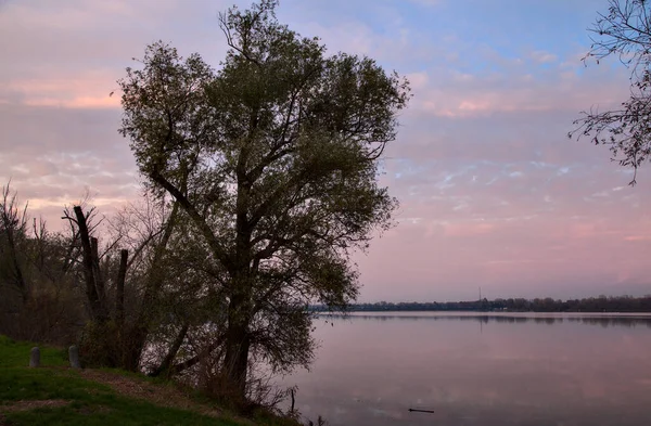 Drzewa Skały Nad Brzegiem Jeziora Zachodzie Słońca Jesienią — Zdjęcie stockowe
