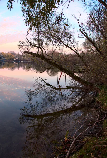 秋天日落时湖边的树木和岩石 — 图库照片