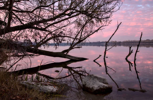 Alberi Rocce Sulla Riva Lago Tramonto Autunno — Foto Stock