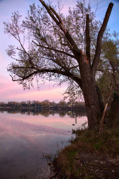 秋の日没時に湖のほとりの木々や岩 — ストック写真