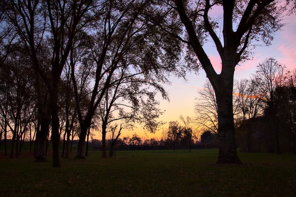 Der Himmel Bei Sonnenuntergang Herbst Mit Der Silhouette Von Bäumen — Stockfoto