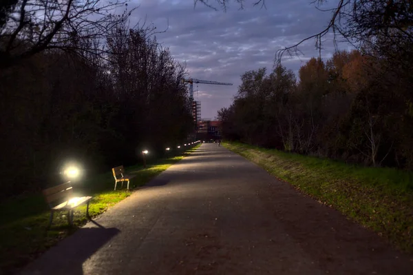 Camino Atardecer Otoño — Foto de Stock