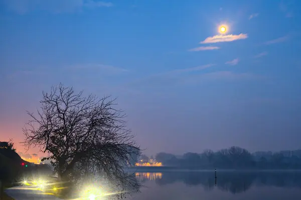 Riva Lago Con Albero Nudo Tramonto Autunno — Foto Stock