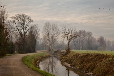 Sonbaharda çıplak ağaçlarla dolu kırsalda su akıntısı