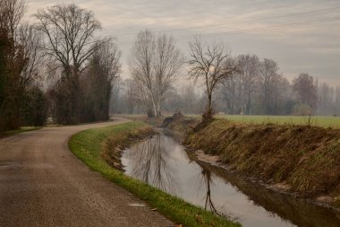 Sonbaharda çıplak ağaçlarla dolu kırsalda su akıntısı