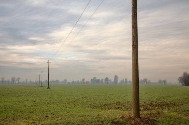 Bulutlu bir günde, sonbaharda İtalya 'nın kırsal kesimindeki bir tarlada tahta elektrik direkleri.