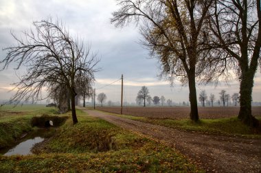 Sonbaharda çıplak ağaçlarla dolu kırsalda su akıntısı