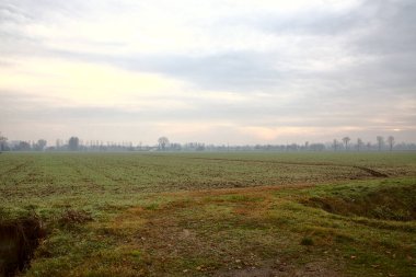 Sisli bir günde İtalya kırsalında sonbaharın sonlarında tarla