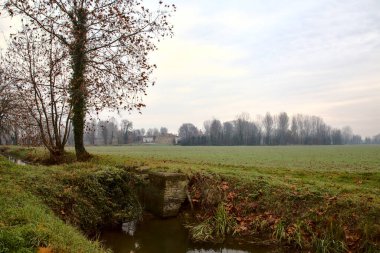 Sonbaharda çıplak ağaçlarla dolu kırsalda su akıntısı