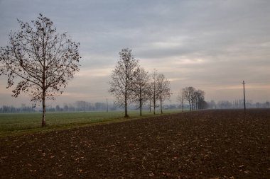 Sonbaharın sonlarında İtalya 'nın kırsalında sürülen tarlalar