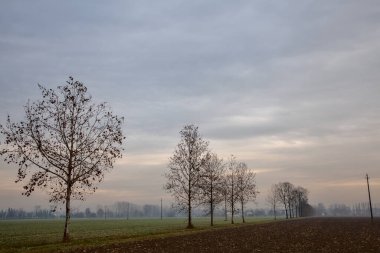 Sonbaharın sonlarında İtalya 'nın kırsalında sürülen tarlalar