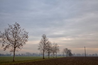 Sonbaharın sonlarında İtalya 'nın kırsalında sürülen tarlalar