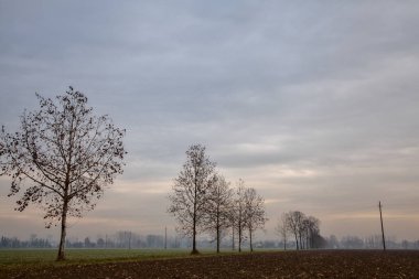Sonbaharın sonlarında İtalya 'nın kırsalında sürülen tarlalar