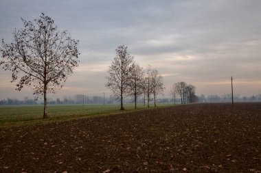 Sonbaharın sonlarında İtalya 'nın kırsalında sürülen tarlalar