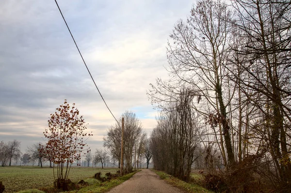 曇りの日にイタリアの田舎の田舎道 — ストック写真