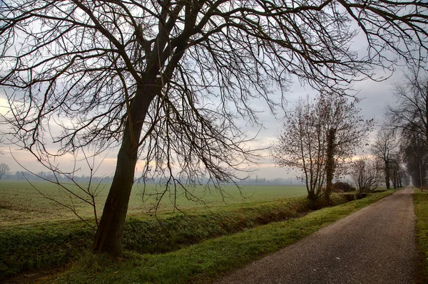 Een Landweg Het Italiaanse Platteland Late Herfst Een Bewolkte Dag — Stockfoto