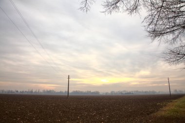 İtalya kırsalında sonbaharın sonlarında iki tarlaya sınır çizen çıplak ağaçlar