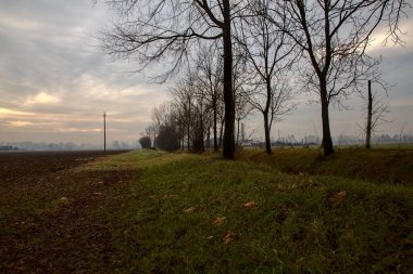 İtalya kırsalında sonbaharın sonlarında iki tarlaya sınır çizen çıplak ağaçlar