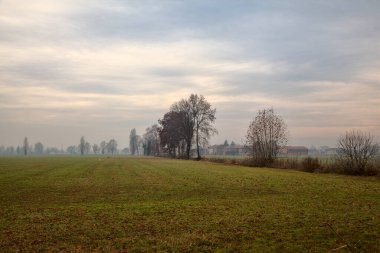 Sisli bir günde İtalya kırsalında sonbaharın sonlarında tarla