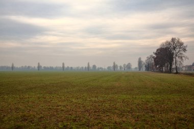 Sisli bir günde İtalya kırsalında sonbaharın sonlarında tarla