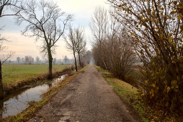 Venkovská Silnice Italském Venkově Konci Podzimu Zamračený Den — Stock fotografie