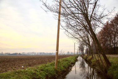 Sonbaharda çıplak ağaçlarla dolu kırsalda su akıntısı
