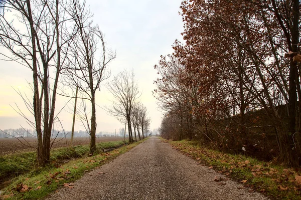 曇りの日にイタリアの田舎の田舎道 — ストック写真