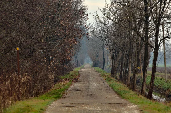 Een Landweg Het Italiaanse Platteland Late Herfst Een Bewolkte Dag — Stockfoto