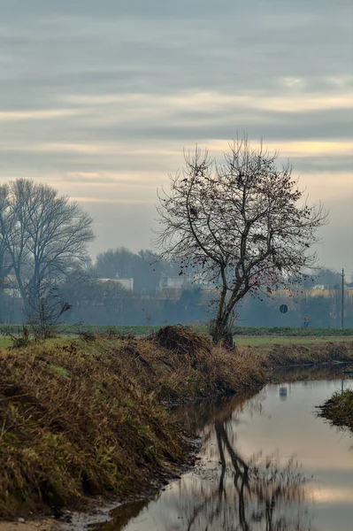 Ruisseau Eau Automne Campagne Avec Des Arbres Nus — Photo