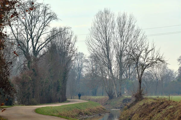 Uma Estrada Rural Campo Italiano Final Outono Dia Nublado — Fotografia de Stock