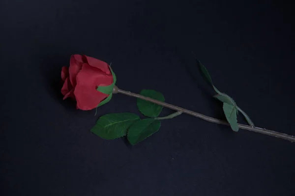 Una Rosa Roja Falsa Sobre Fondo Negro —  Fotos de Stock