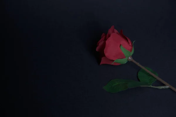 Una Rosa Roja Falsa Sobre Fondo Negro —  Fotos de Stock