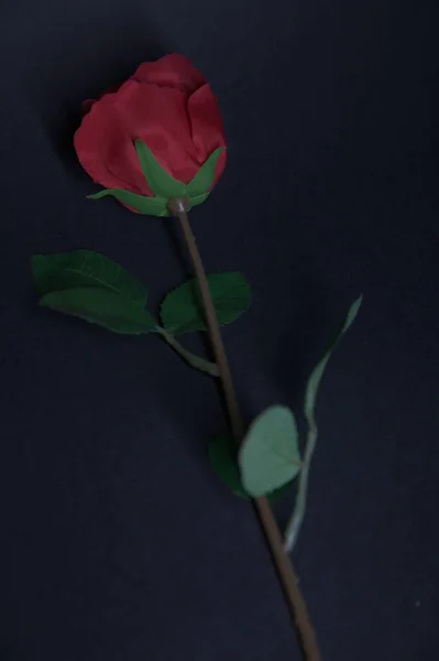 Une Fausse Rose Rouge Sur Fond Noir — Photo