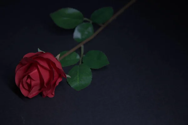 Uma Rosa Vermelha Falsa Fundo Preto — Fotografia de Stock