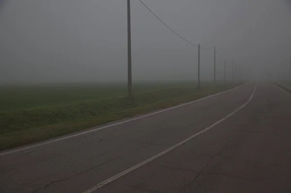 Camino Bordeado Por Campo Campo Italiano Día Niebla Finales Otoño — Foto de Stock