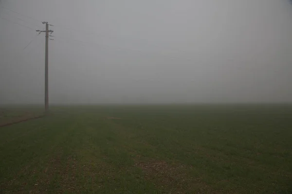 Дерев Яний Електричний Пілон Полі Туманний День Кінці Осені Італії — стокове фото