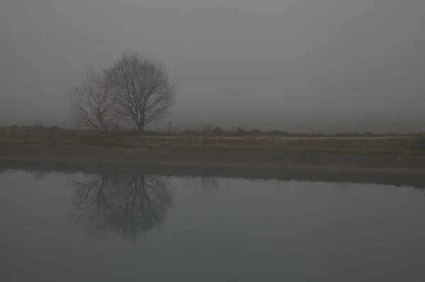 Pobřeží Řeky Holými Stromy Jejich Odrazy Vodě Mlhavého Dne Konci — Stock fotografie