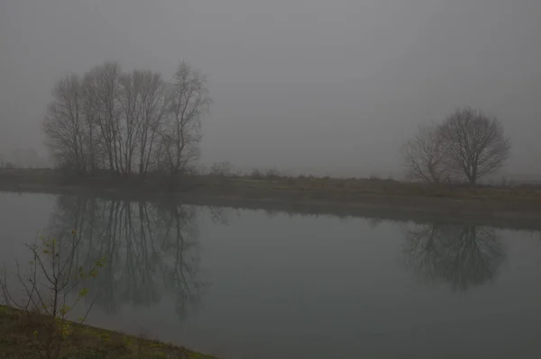 Pobřeží Řeky Holými Stromy Jejich Odrazy Vodě Mlhavého Dne Konci — Stock fotografie