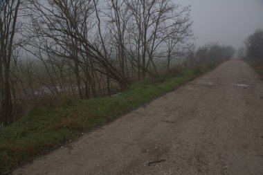 İtalya kırsalında tek şerit yol Sonbaharın sonlarında sisli bir günde
