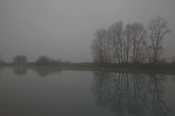 Pobřeží Řeky Holými Stromy Jejich Odrazy Vodě Mlhavého Dne Konci — Stock fotografie