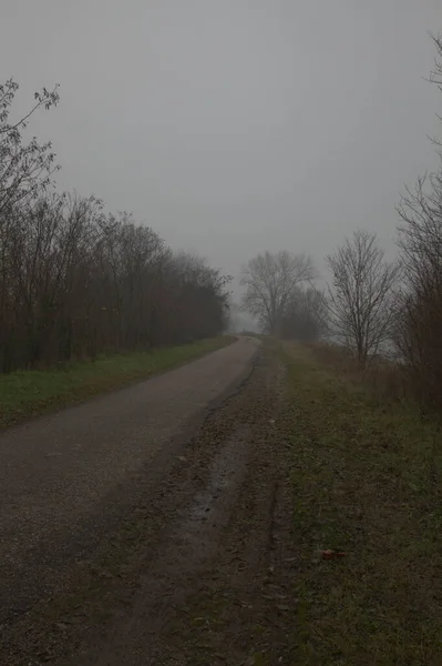 Carretera Solo Carril Campo Italiano Día Niebla Finales Otoño —  Fotos de Stock