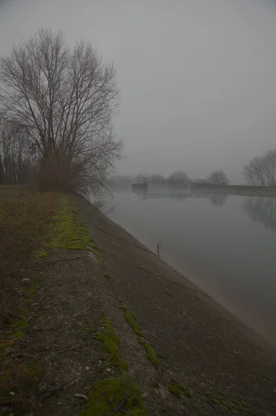 Shore of a river on a foggy day in late autumn