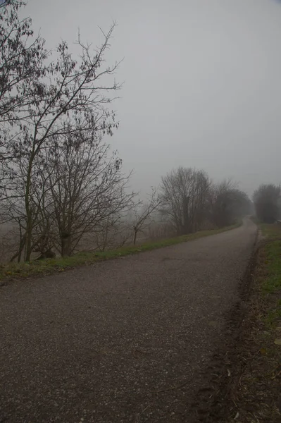 Route Voie Unique Dans Campagne Italienne Par Une Journée Brumeuse — Photo